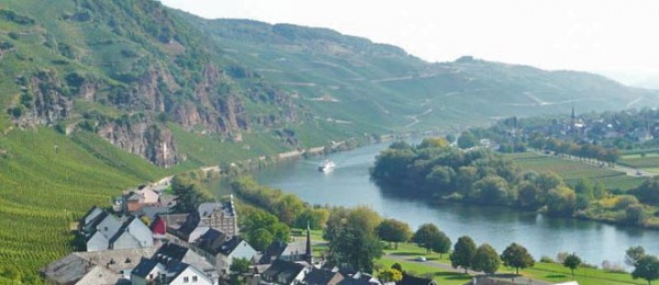 Maisionett-Ferienwohnung | Ürzig- Mosel bei Bernkastel | Moselblick