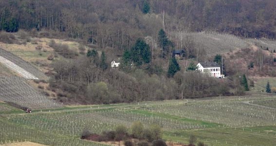 Waldhaus | Alleinlage | Privatweg | Weinkeller im Berg Waldhaus | Alleinlage | Privatweg | Weinkeller im Berg