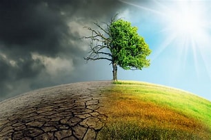 Klima- und Umweltrisiken einschätzen